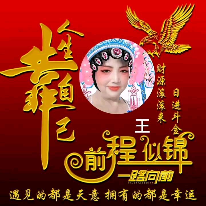 自由兰花花