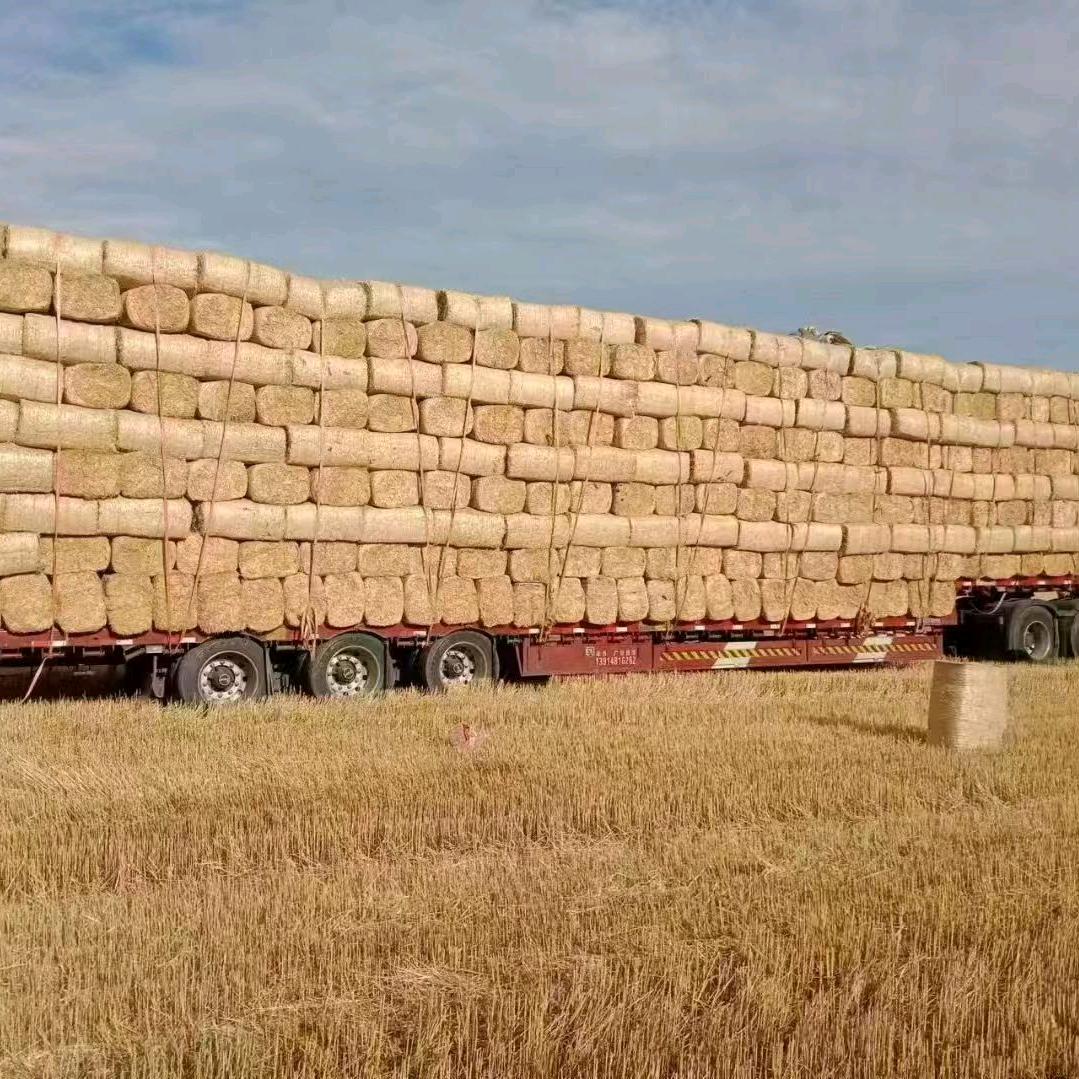 马永福  从0开始