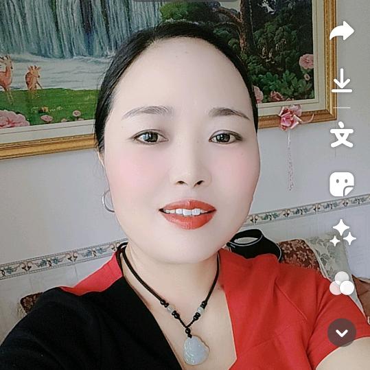 追求梦想