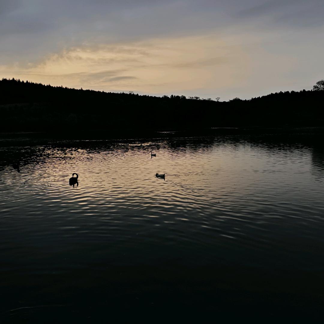 邢台回收机动车新能源特价车