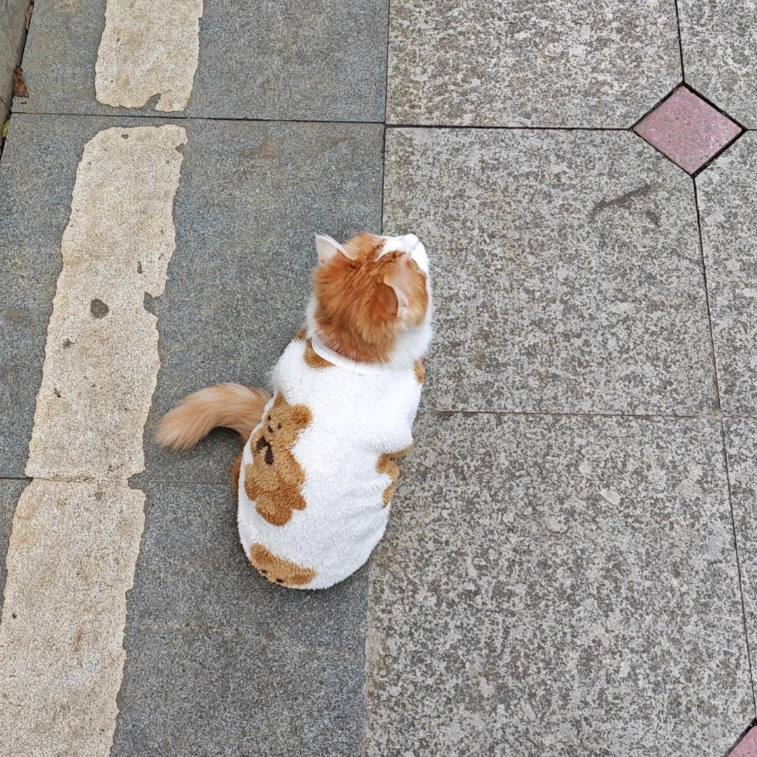 腿毛是小可爱