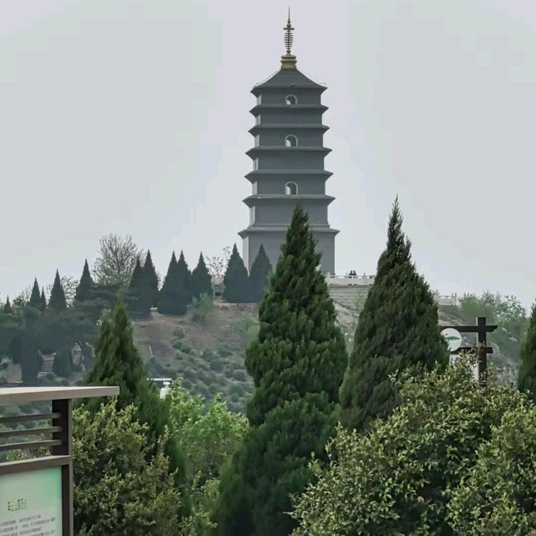 森林