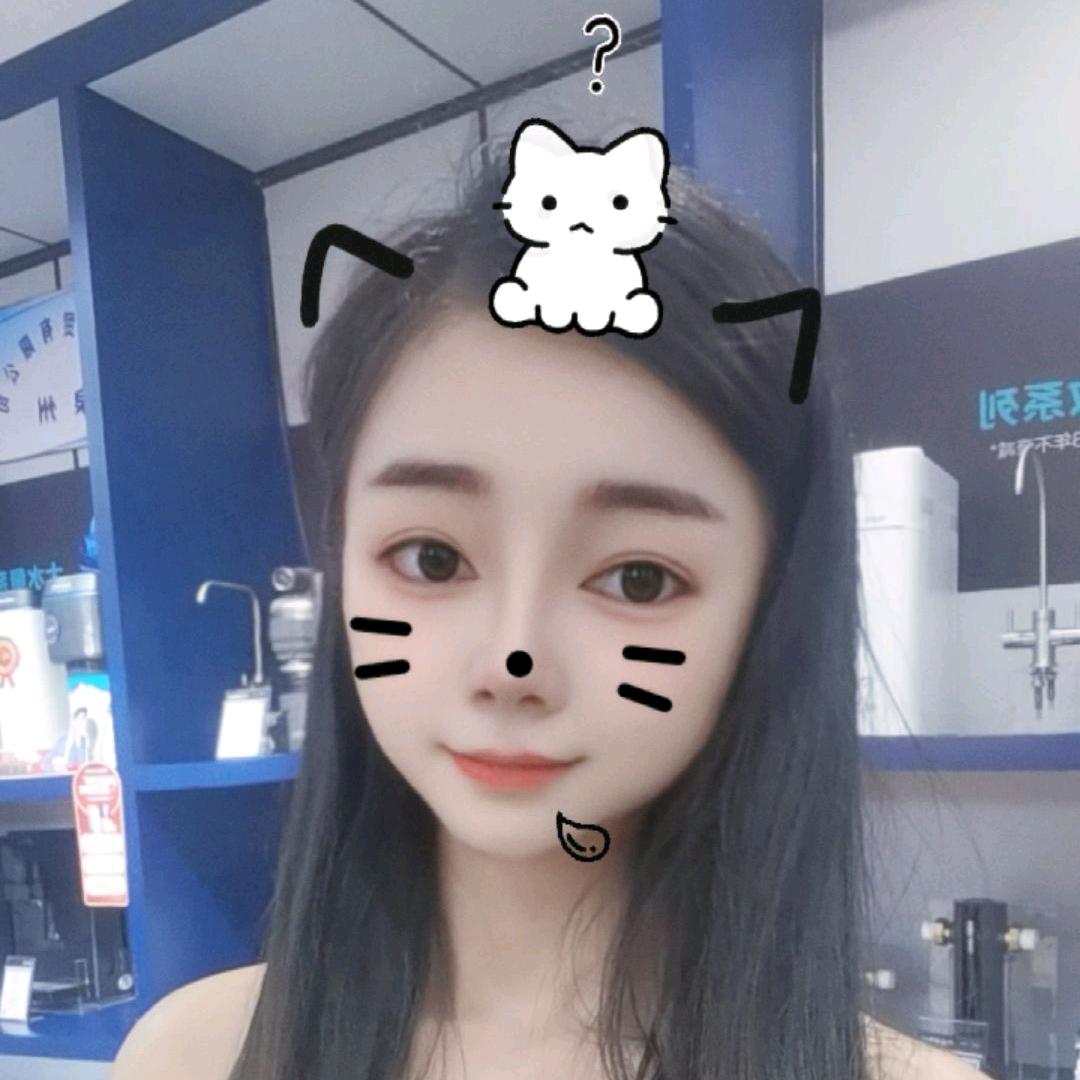 猫猫小商家