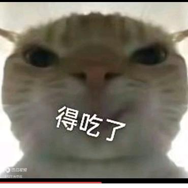 宇俊