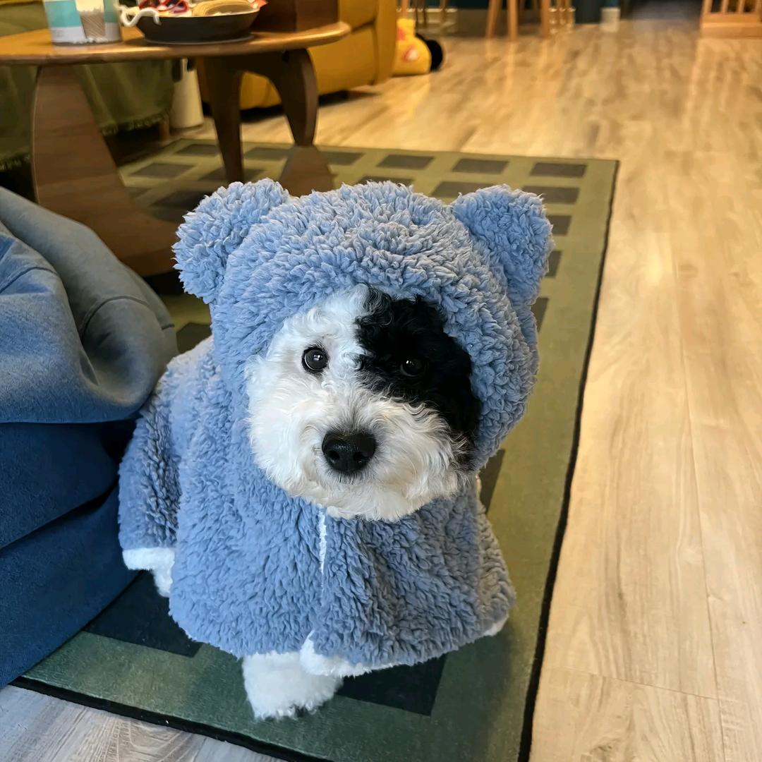 我讨厌楞次定律