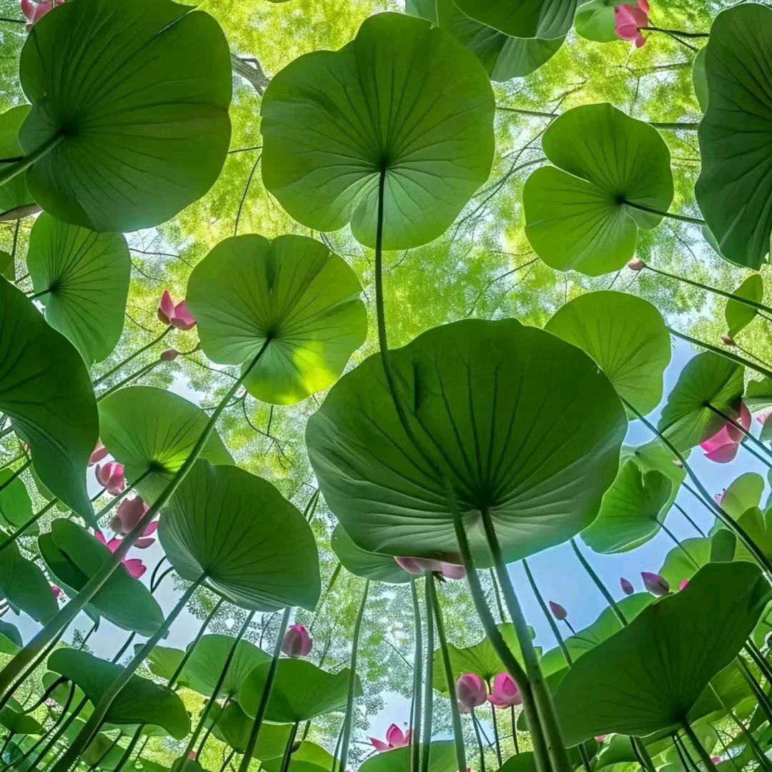 东营全屋定制(森木缘)