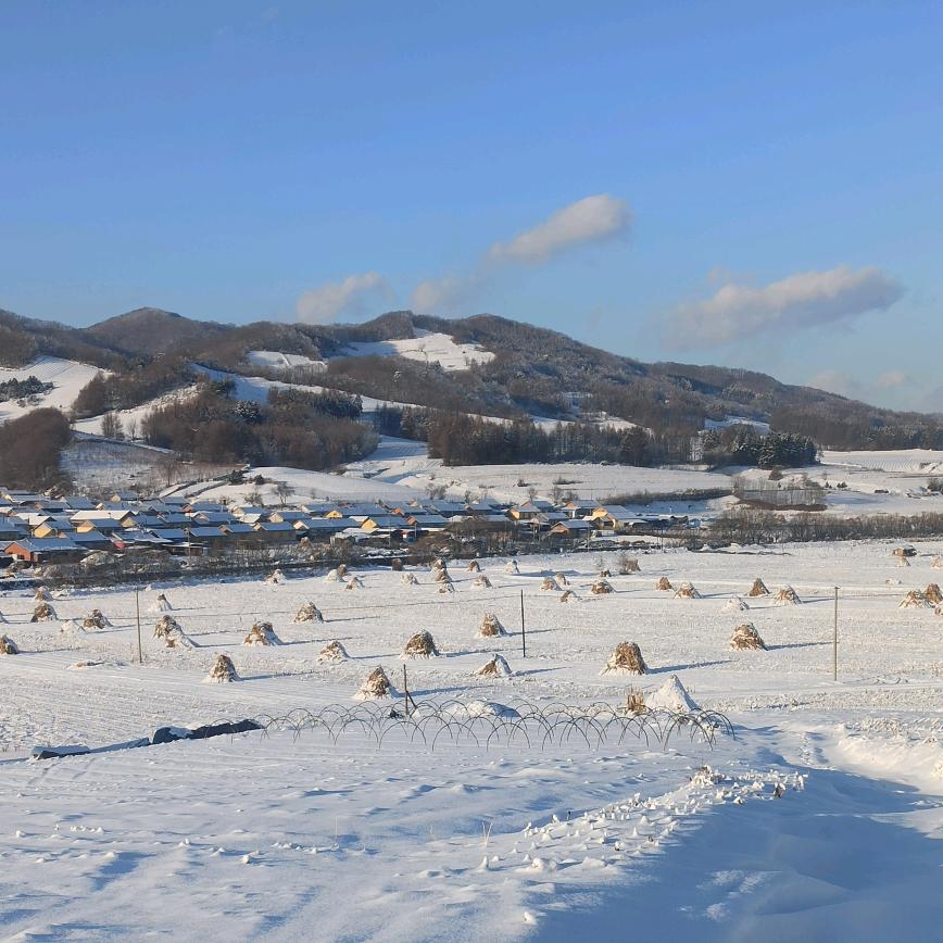203@林海雪原