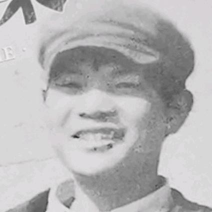 会飞的鱼