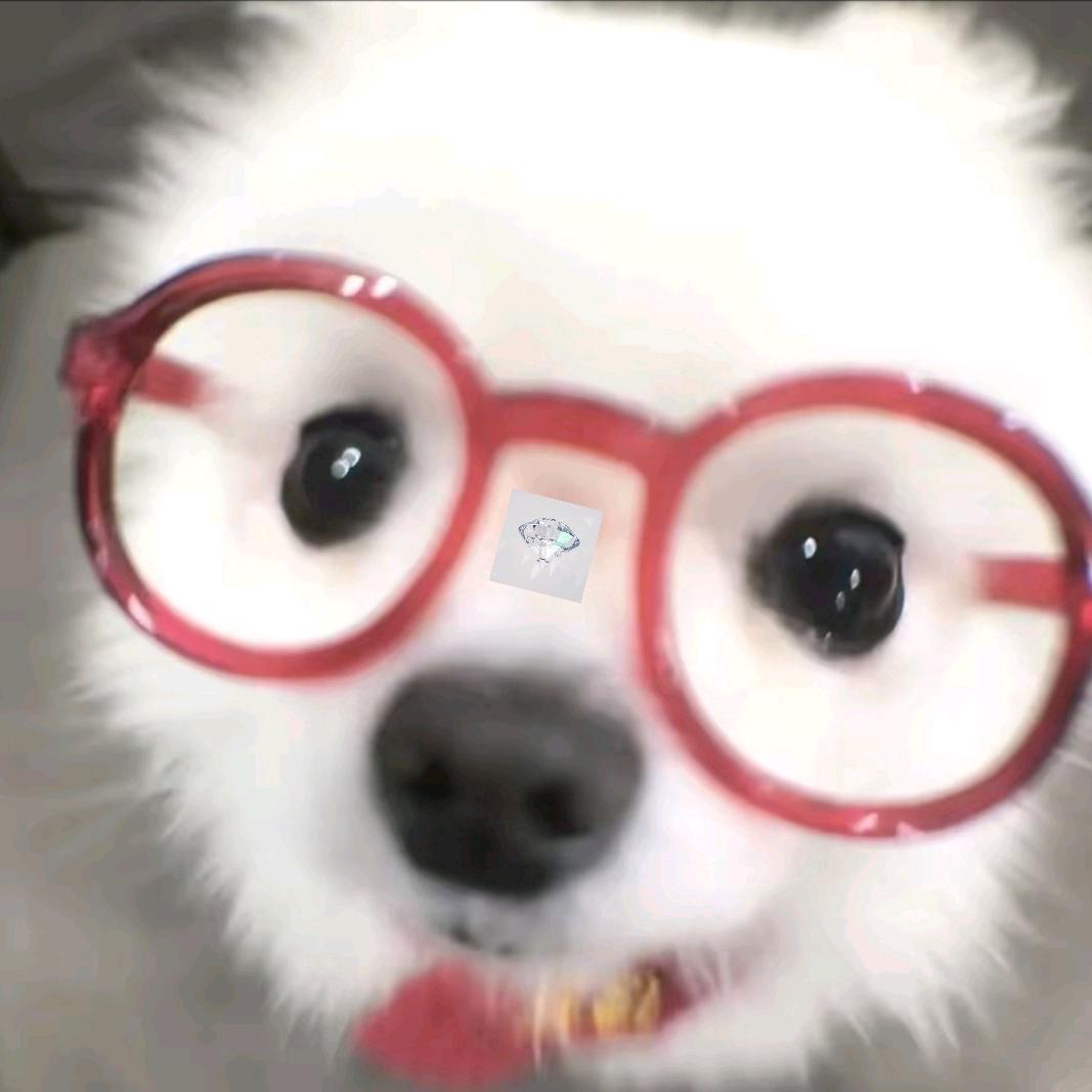 鸡毛