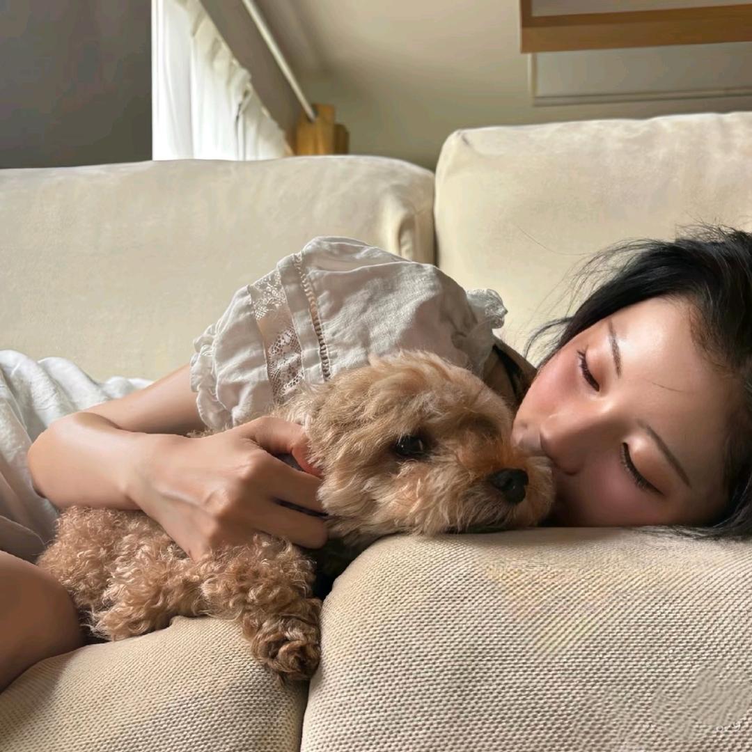 张小美朋友圈