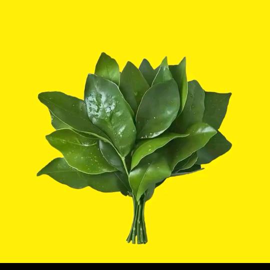 @এº᭄㜂💞 孞༊ ړ💞ঞᩚ᭄::