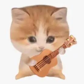 崔枢壹