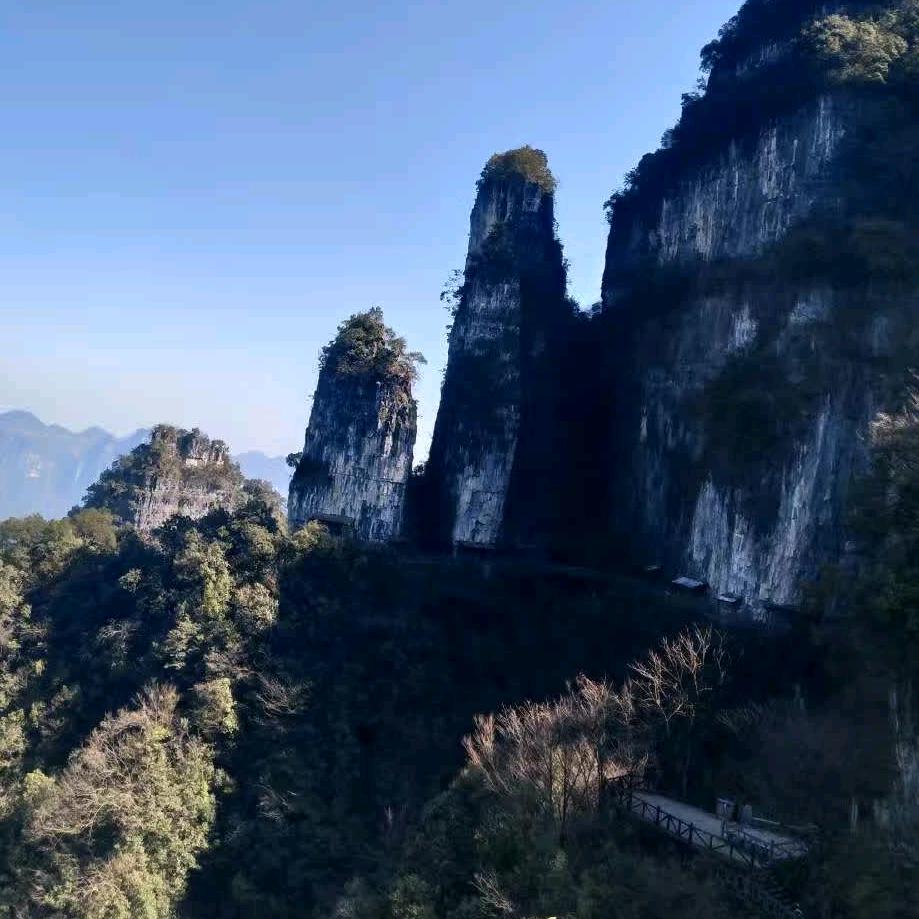 平淡哥