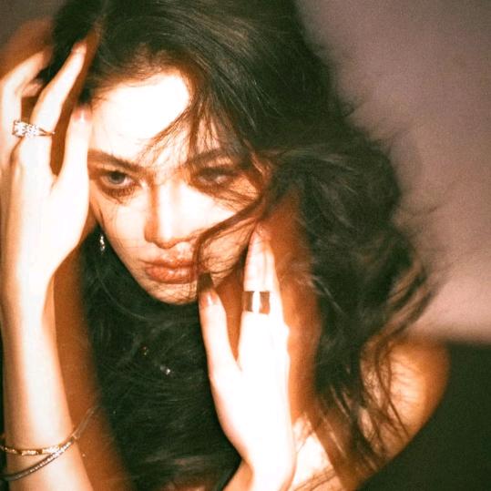 北海的菊花开了.