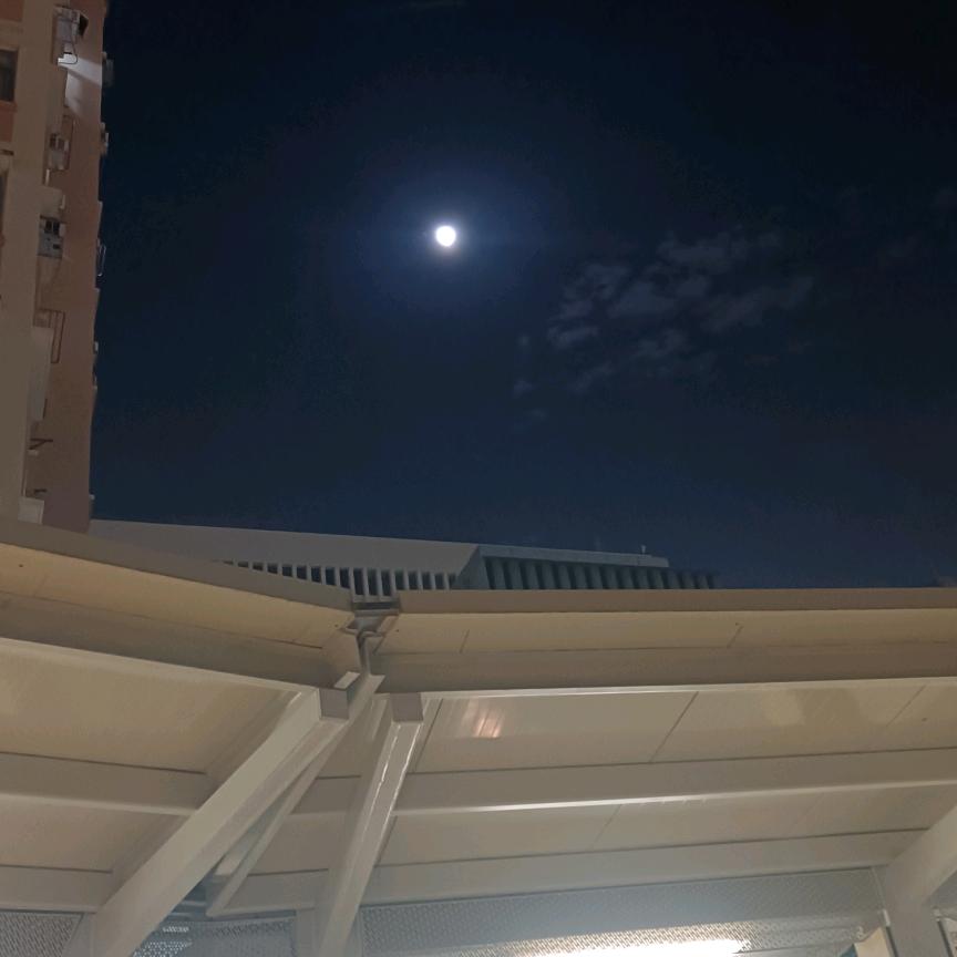 🕊烟味💕大叔꧔ꦿ᭄࿐