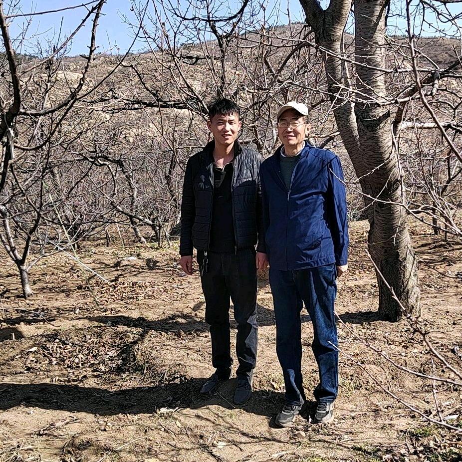 泰安万亩大樱桃助农基地