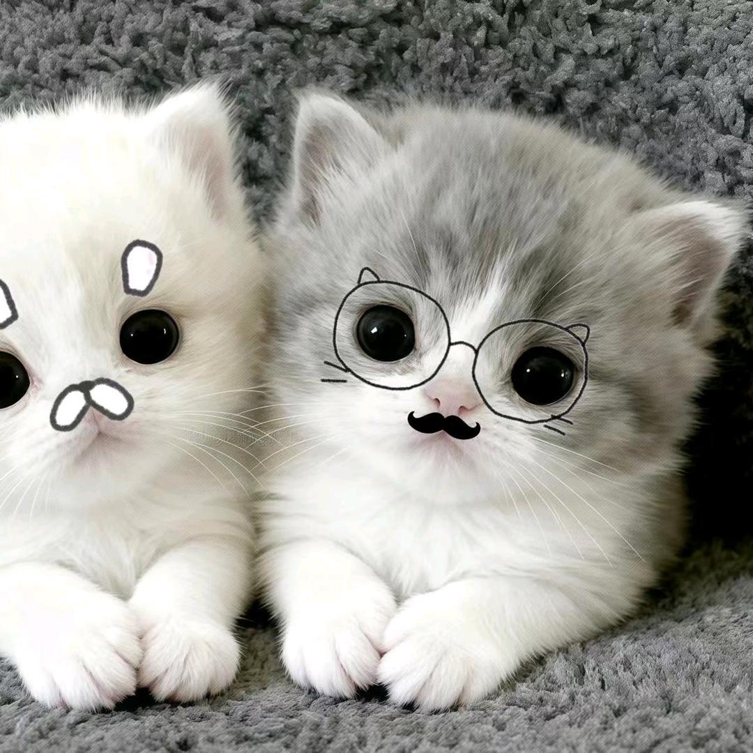 发现老婆是女同绝望的去点女模点到小三