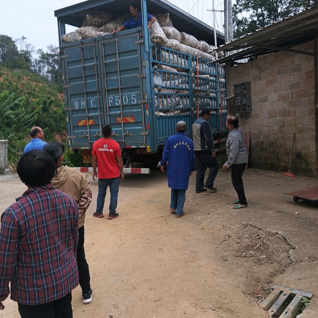 何周信，(龙门o陈皮lik)lo.vji