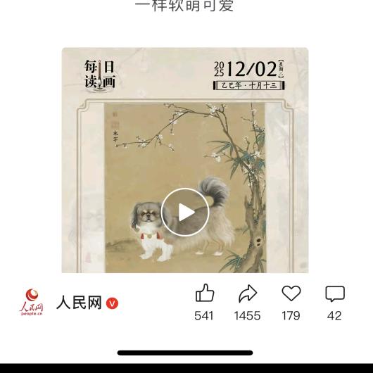 葬爱不葬花