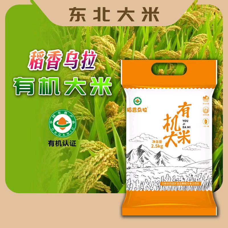 韩五