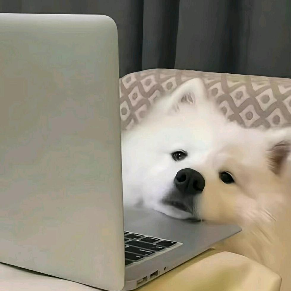 青木淮