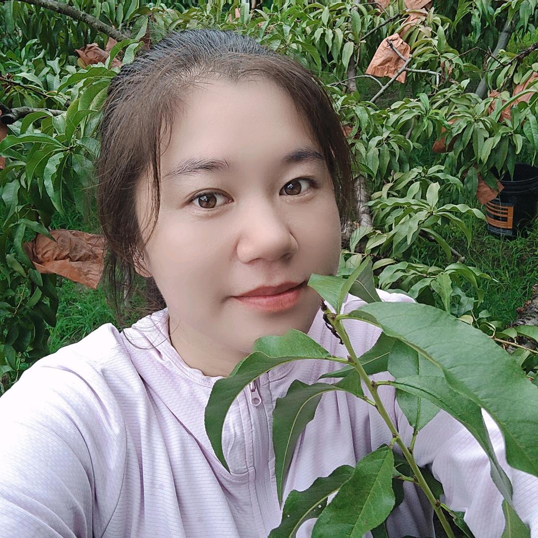 炎陵黄桃🍑小胡