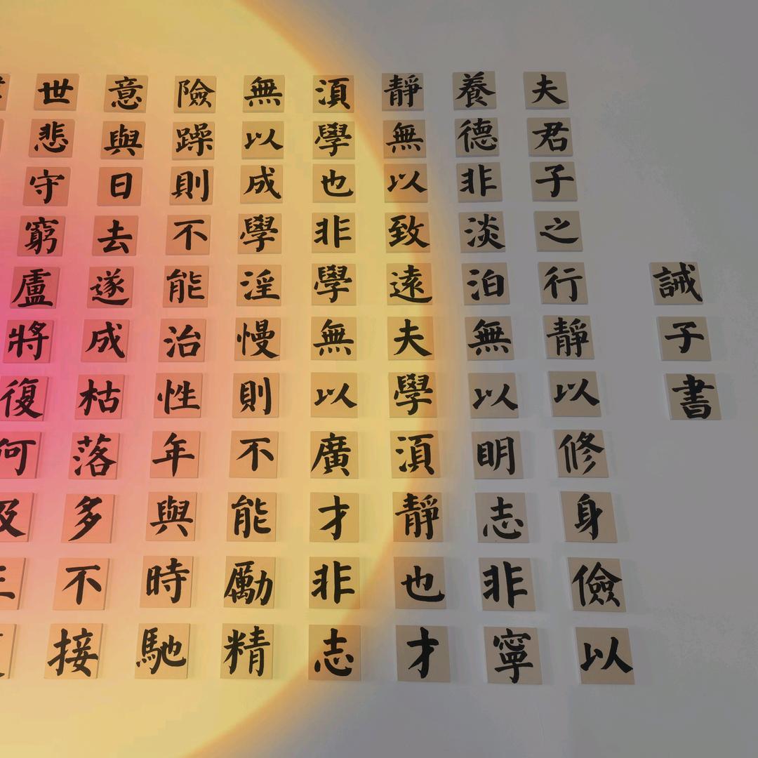 山西临汾书法赵老师（动态纠姿，楷书快写）