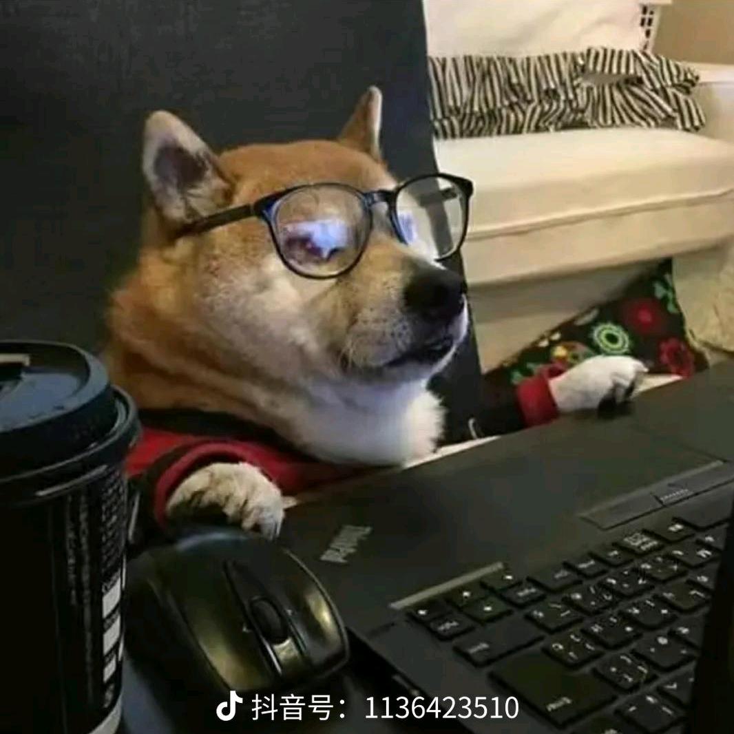 杰瑞