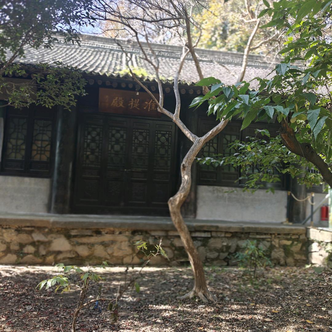 不予期许