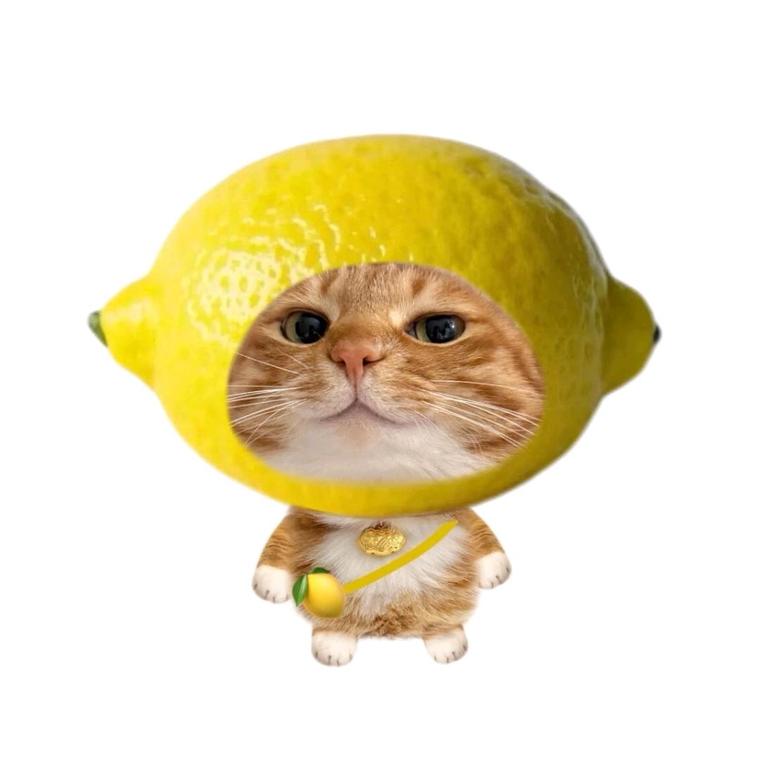 不是大萱