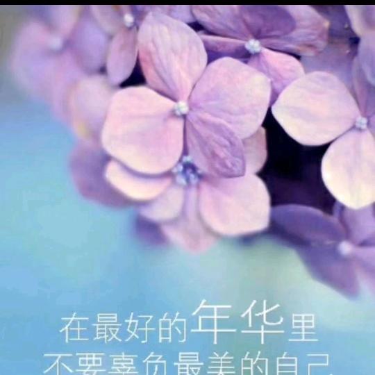 木子心