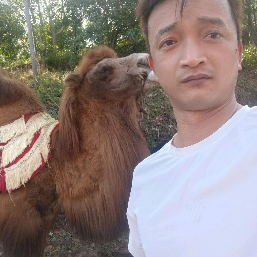 今神小伙