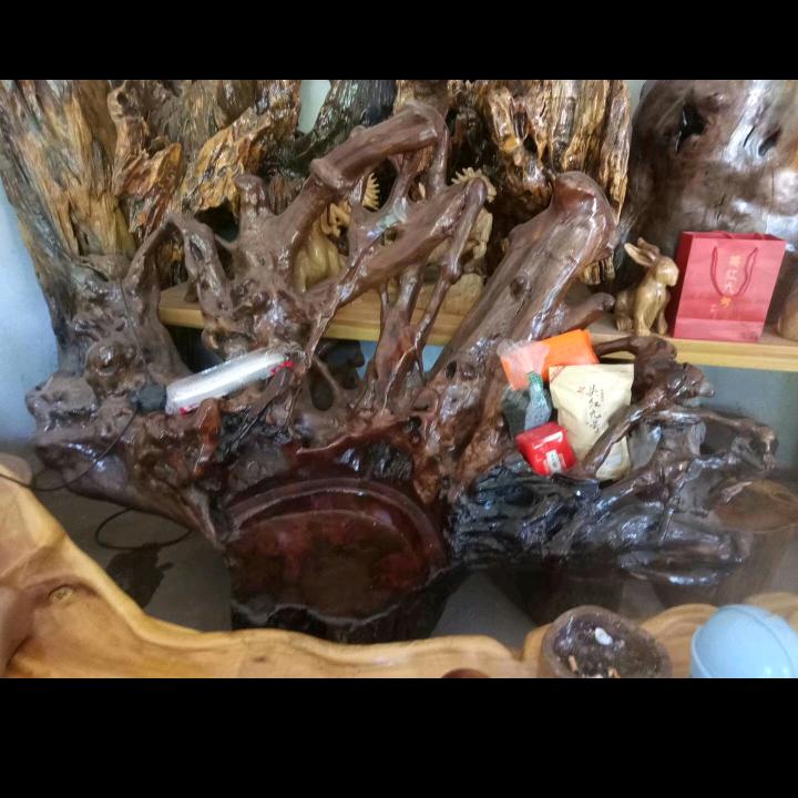 玫瑰之恋