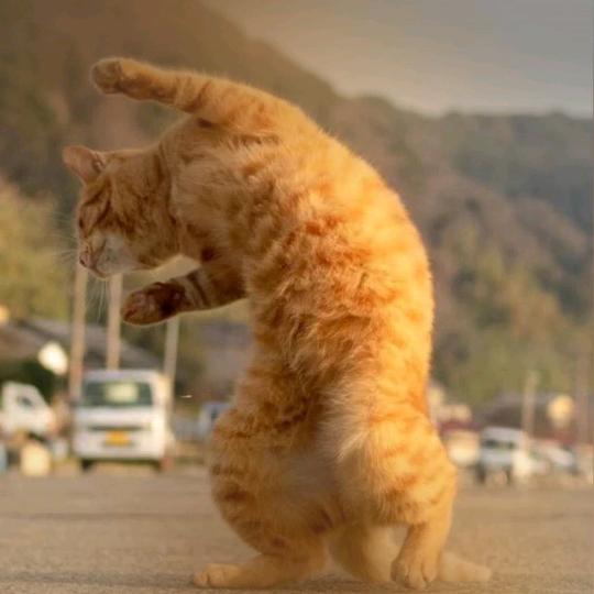 嘻嘻(三角洲行动)