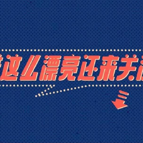 凡尘精选