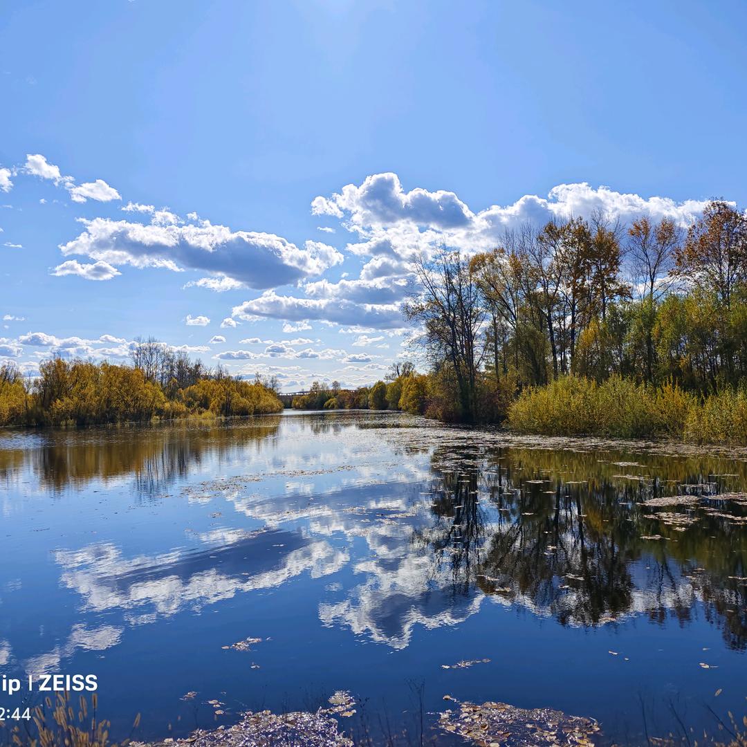 漠河纯玩地接微微