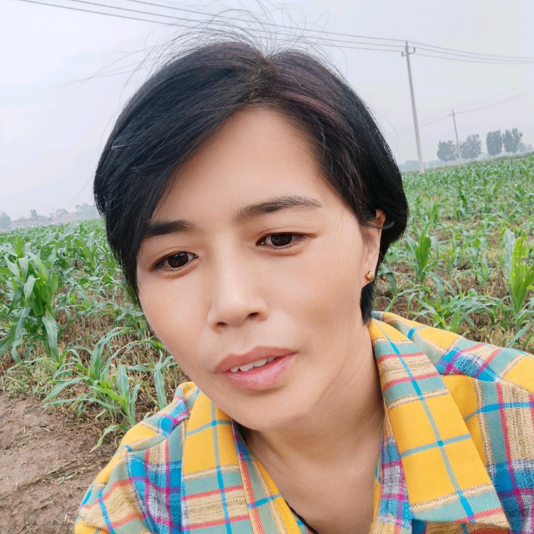 慧莲姐