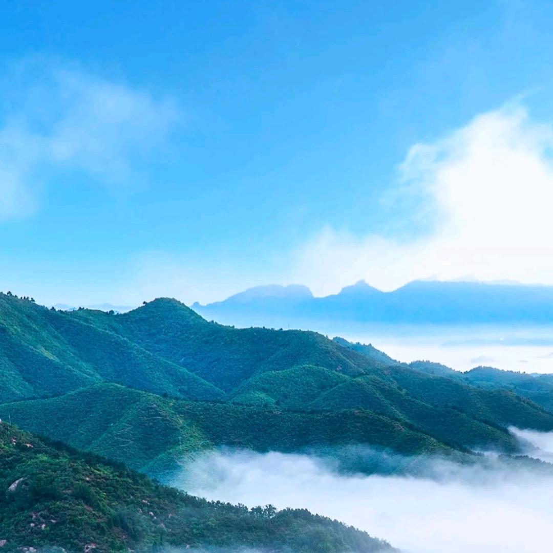 ୧⍤⃝🌻年年有余