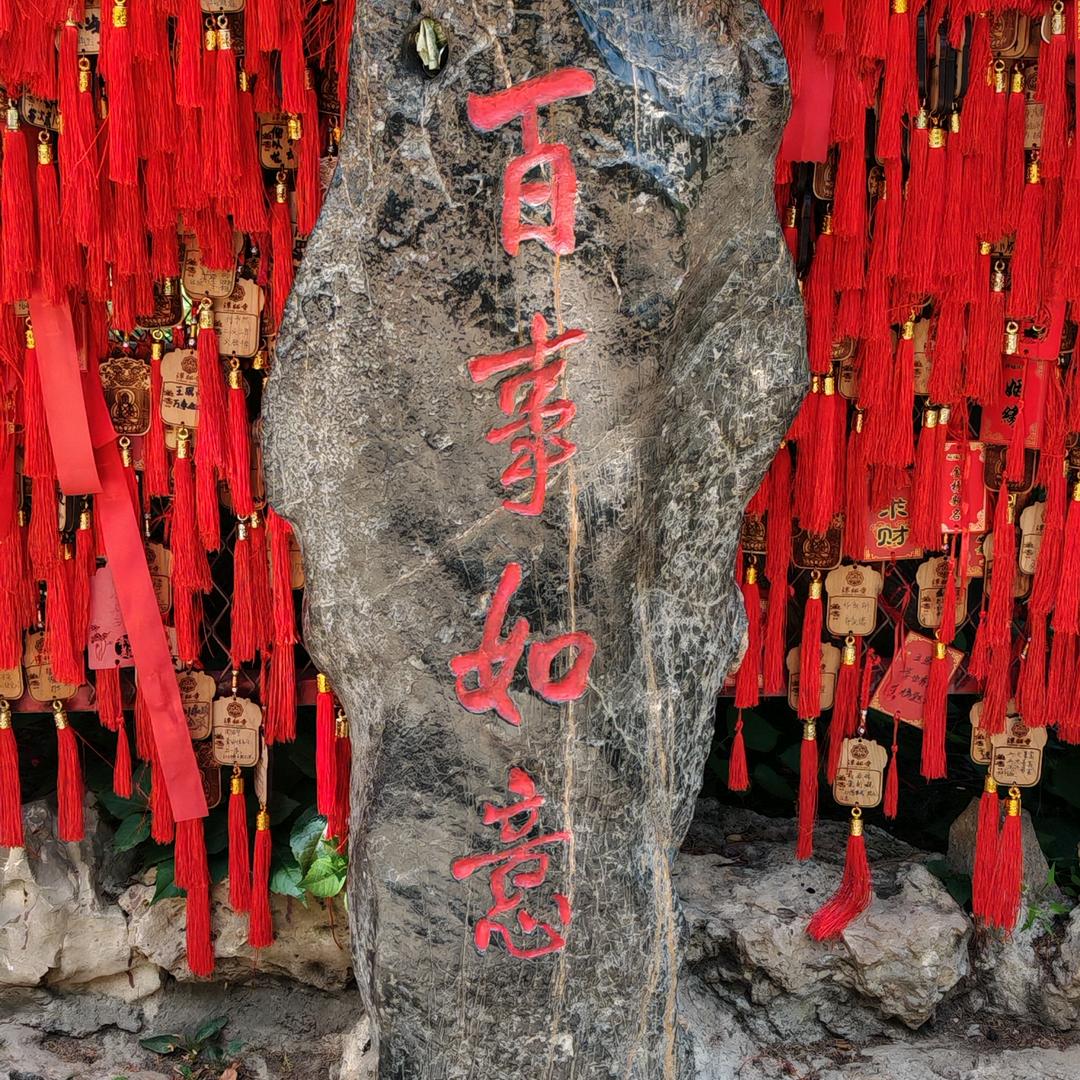 正玄141319
