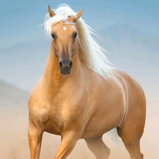 64618246154681351923