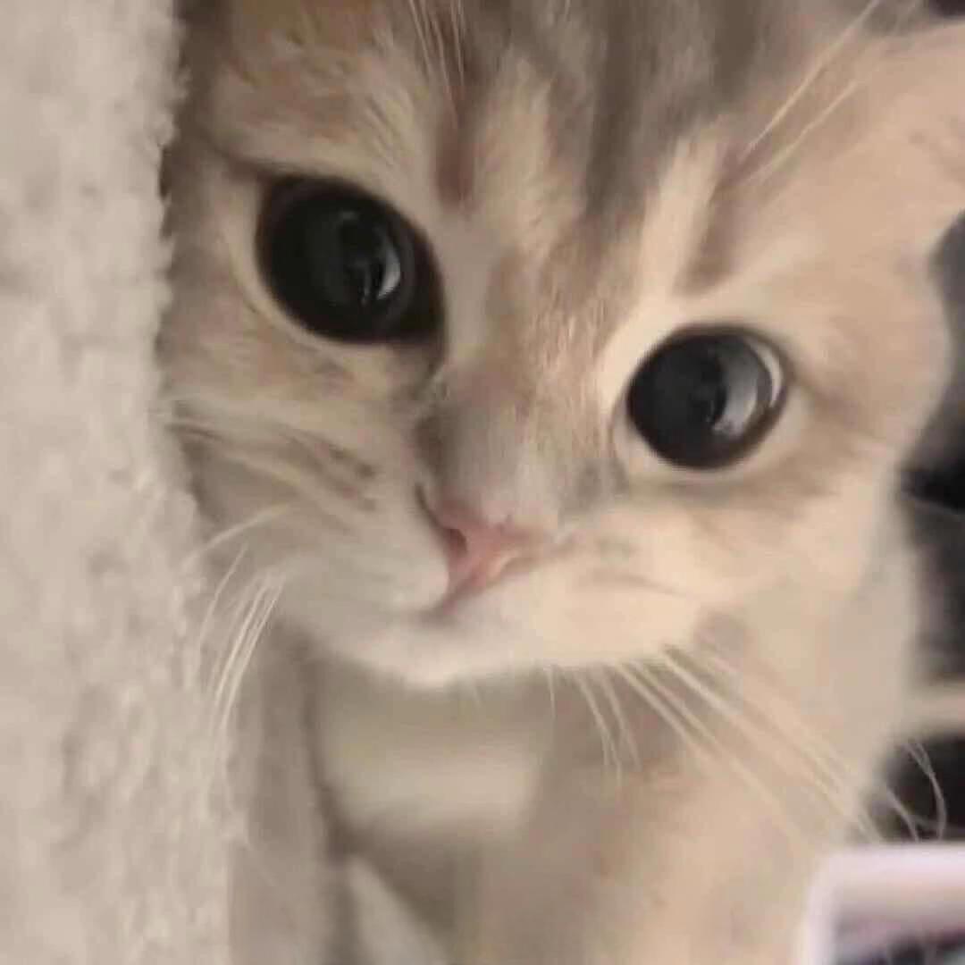 来访.