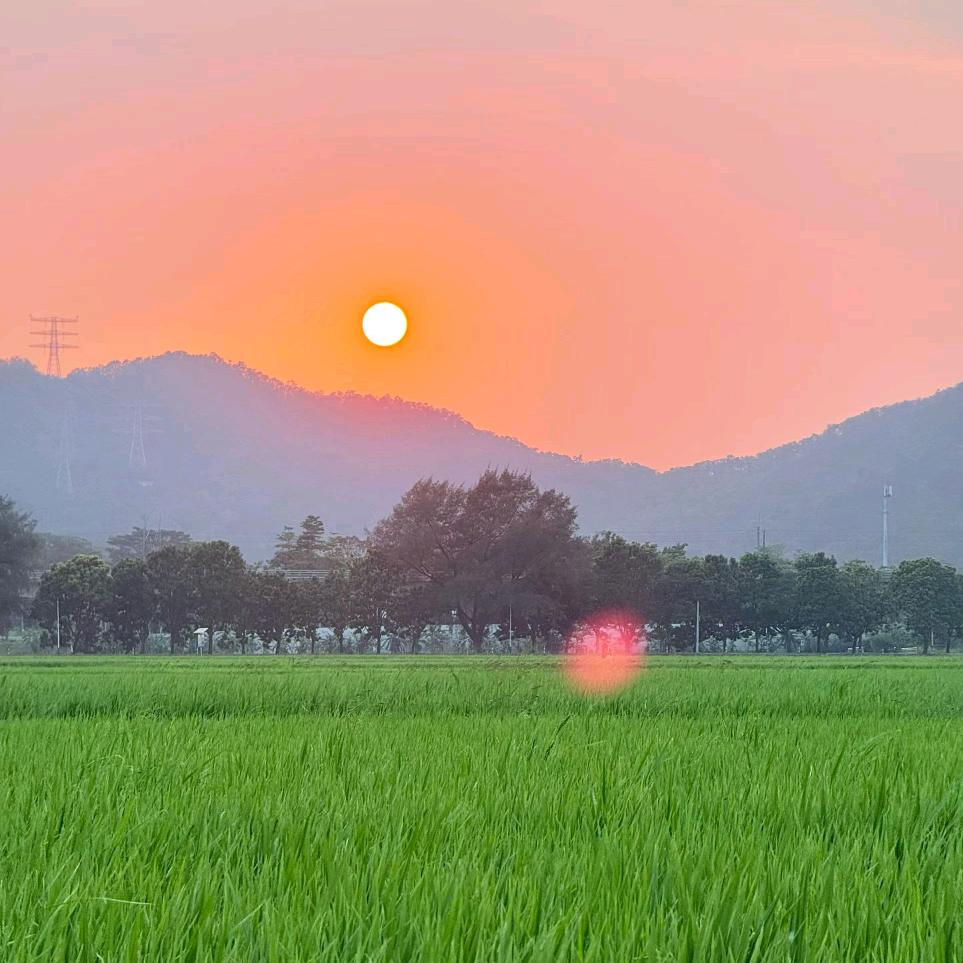 程先生