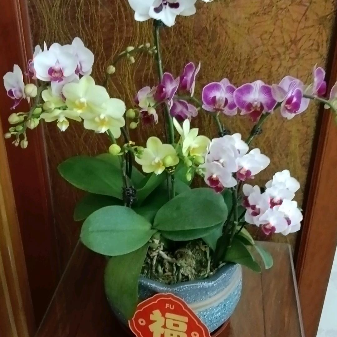 剧情脑袋永不停转