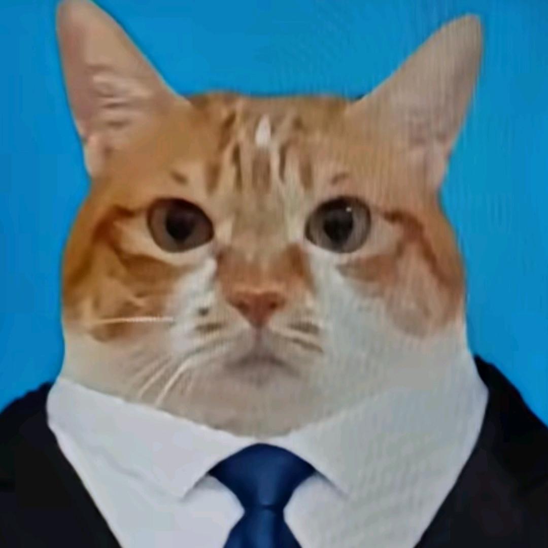 廉价劳动力小猫