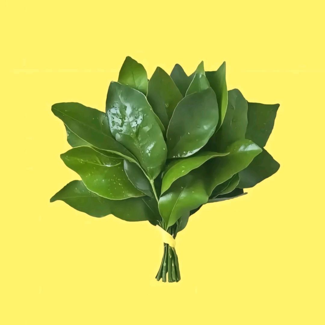 柠檬🍋不萌🍓