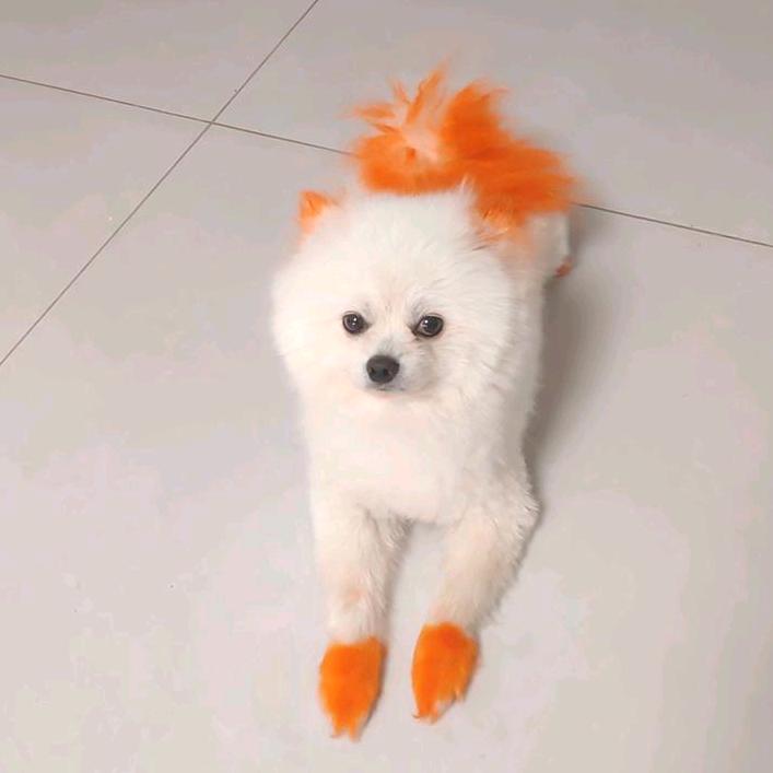 伟哥
