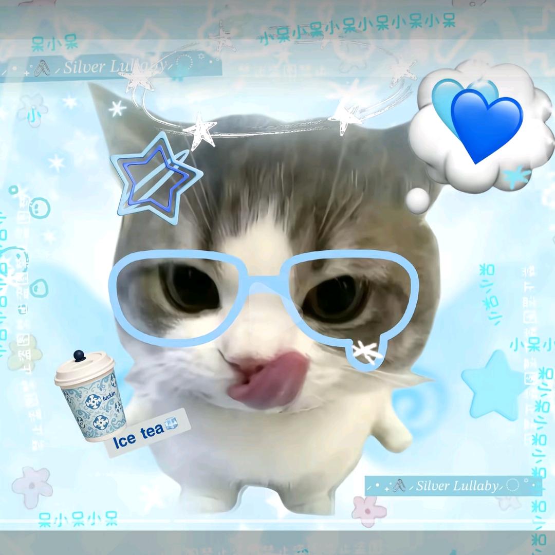 小猫真香甜
