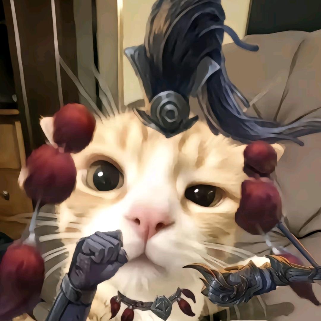 贝蒂小熊