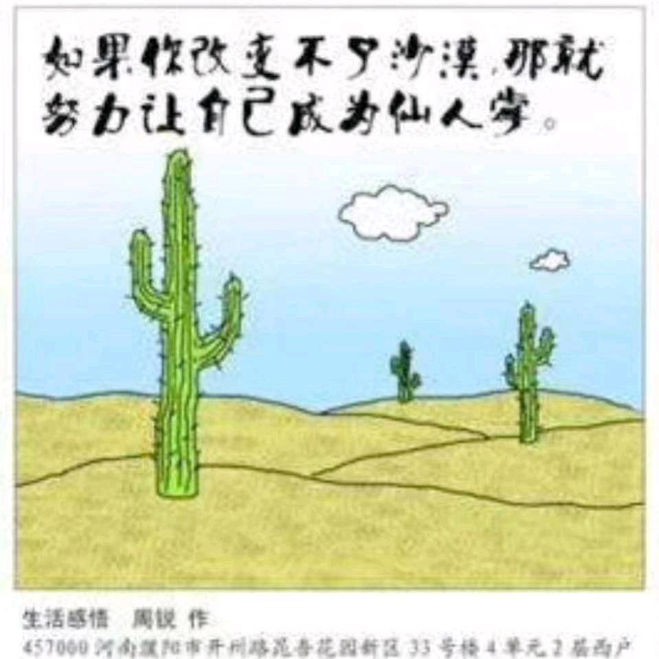 愿遇见的皆是温柔