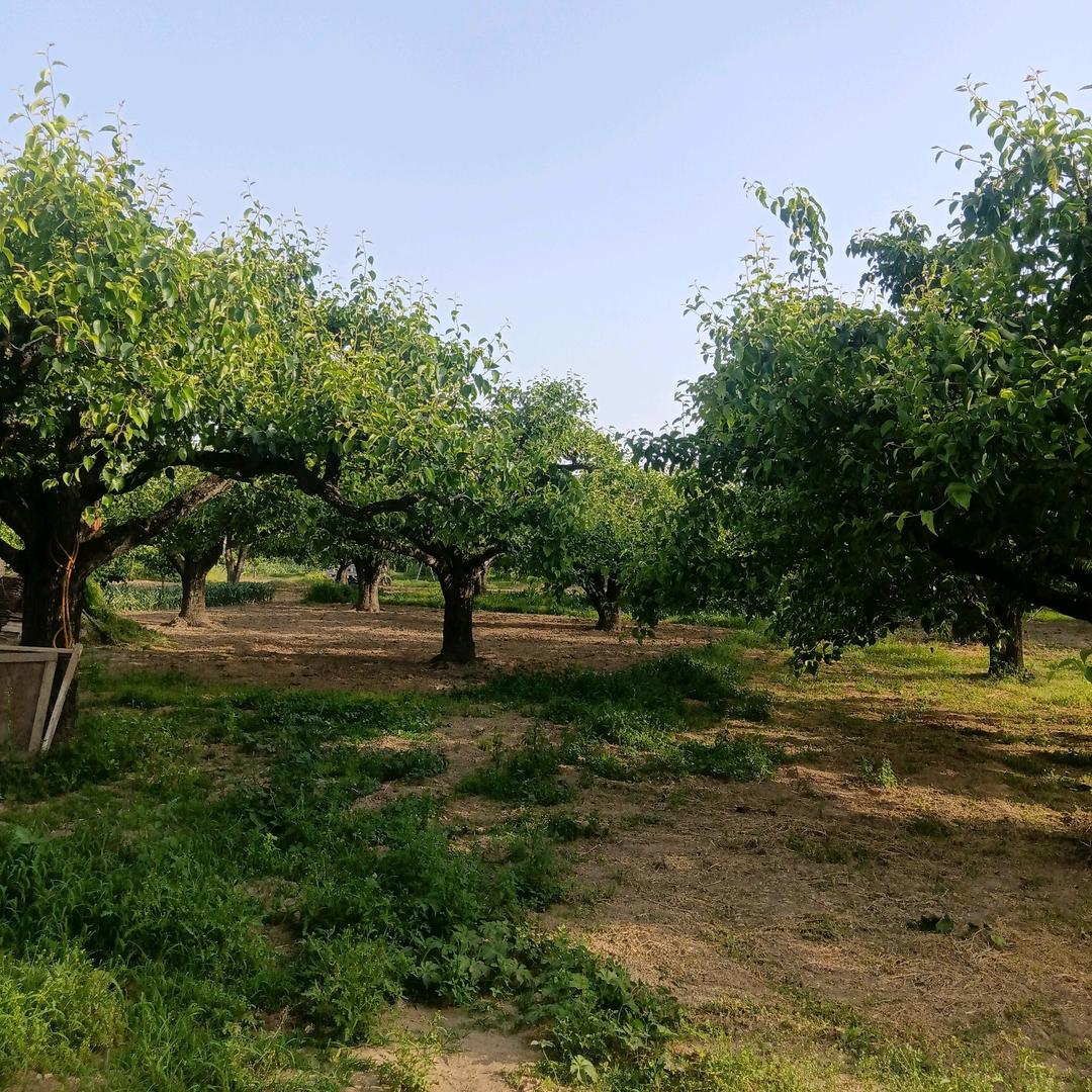 很想活出个人样